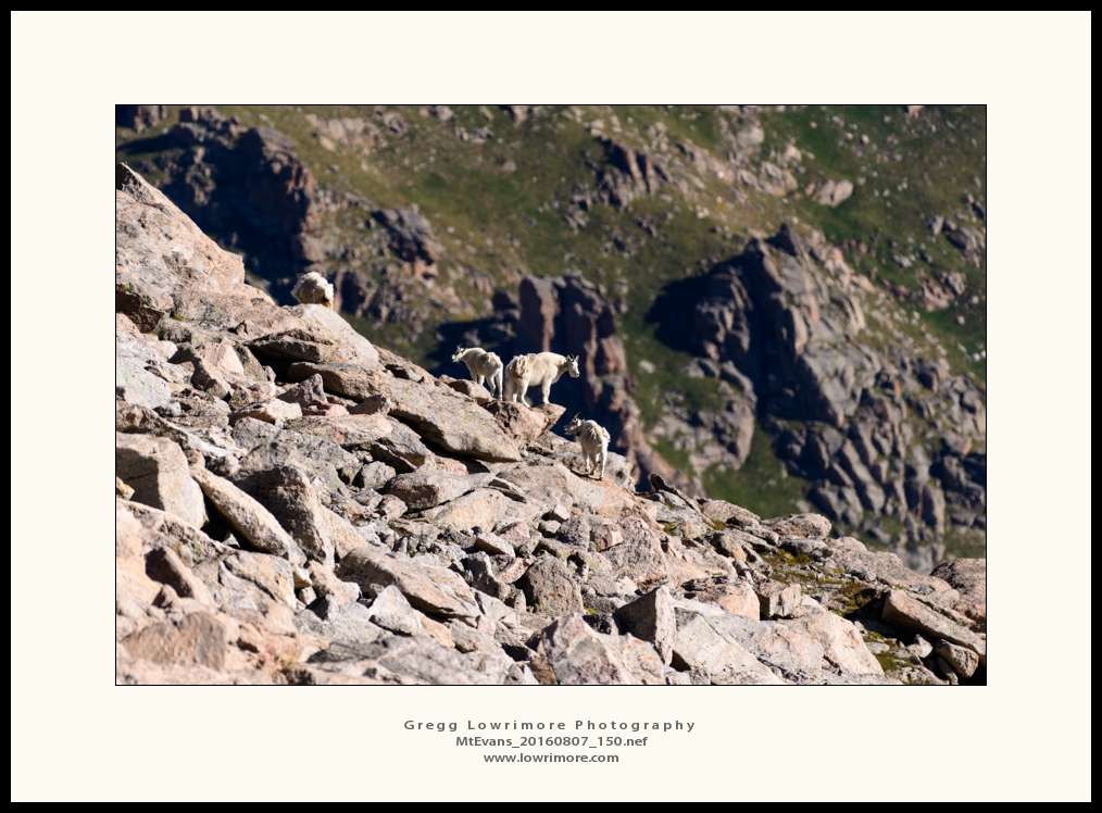 Mt Evans 20160807 150